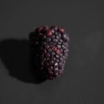 Przepis na pierogi z jagodami – letni smak Polski